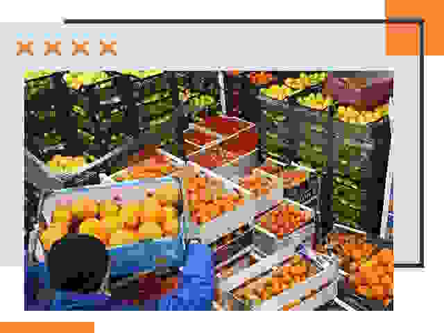 Перевозка скоропортящихся продуктов в Феодосии